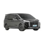 China Luxury Hybrid FAW Hongqi HQ9 PHEV Business Welfare Edition MPV Electric Car - 图片 3